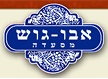 אבו גוש